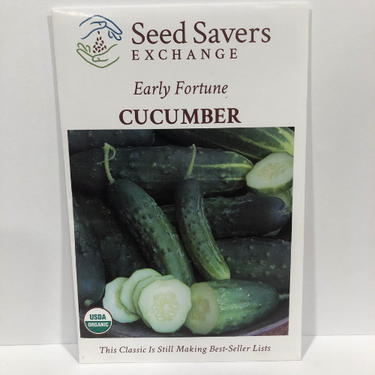 Early Fortune Cucumber, 1910 Heirloom, Organic